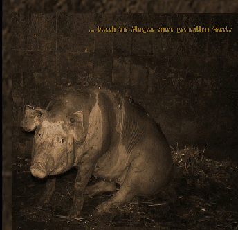 Siechtum (GER-2) : ...Durch die Augen einer Gequälten Seele